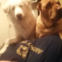 Marlene Alexander Photo 30