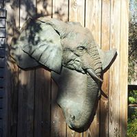 Amber Dufrene Photo 4