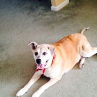 Michael Good Photo 30