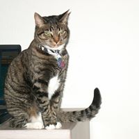 Tabitha Summers Photo 28