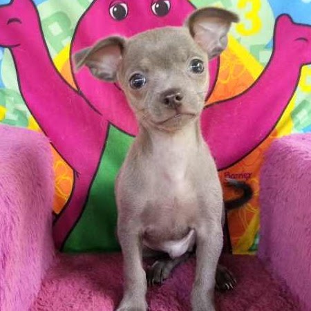 Anna Conley Photo 27