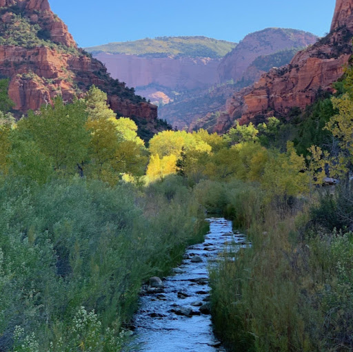 Kelly Nielson Photo 2