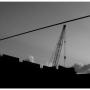 Felix Campos Photo 18