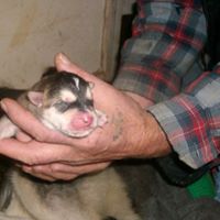 Will Watkins Photo 13