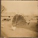A Mcmahan Photo 8
