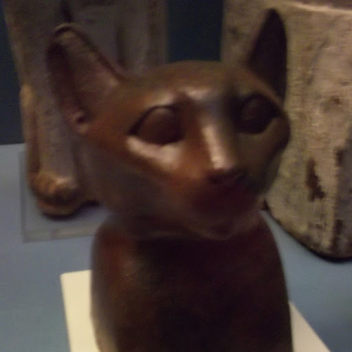 David Pollak Photo 17