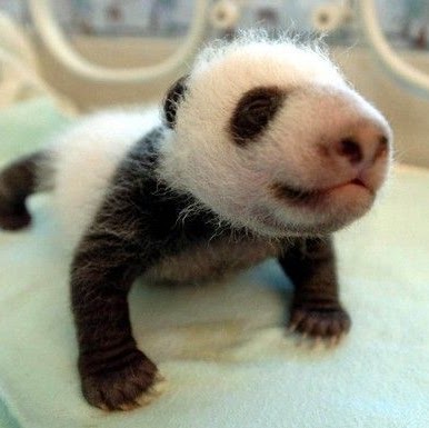 Robin Holmes Photo 16