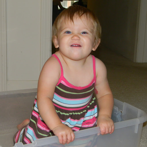 Lisa Dewitt Photo 19