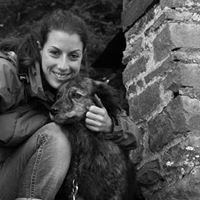 Cynthia Heitz Photo 3