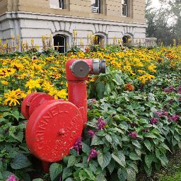 Justin Benoit Photo 17