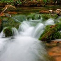 Victor Roberts Photo 14