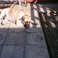 Bridgette Fitzpatrick Photo 11