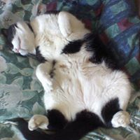 Greg Mathews Photo 31 Greg Mathews Photo 31