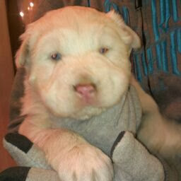 Laura Mathes Photo 4