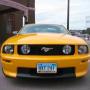 David Schafer Photo 8