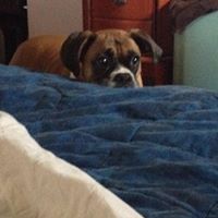 Tracy Garland Photo 21