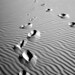 Donna Cross Photo 41