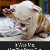 Angela Brewer Photo 27