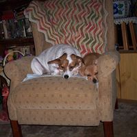 Vicki Harris Photo 27 Vicki Harris Photo 27