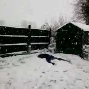 George Patterson Photo 58 George Patterson Photo 58