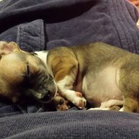 Jeff Michael Photo 24