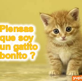 Efrain Villanueva Photo 19