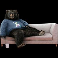 Matthew Shelton Photo 15