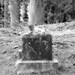 Rosemarie Cope Photo 10