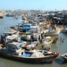 Lam Phan Photo 14
