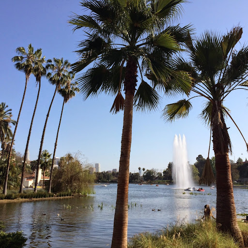 Luis Calderon Photo 28