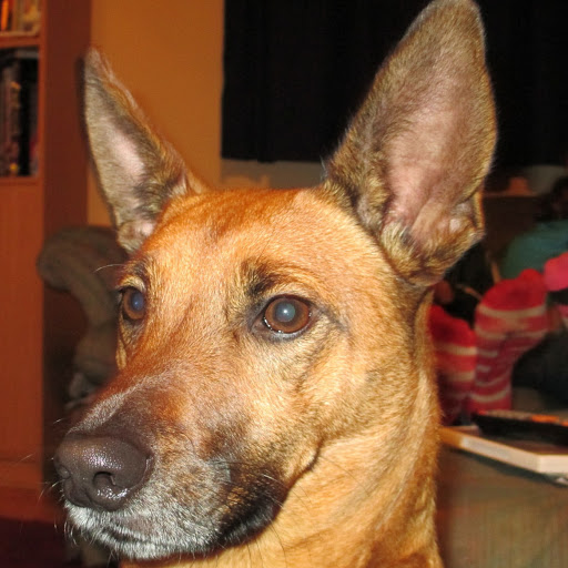 Bridget Simmons Photo 14