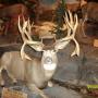 Carl Bruce Photo 26
