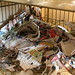 Timothy Klein Photo 23