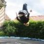 James Hawes Photo 12