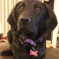 Michelle Cornell Photo 36