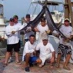 Joey Hatfield Photo 12