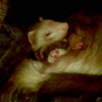 Nancy Monk Photo 18