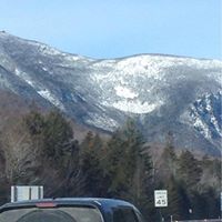 Pamela Woods Photo 11