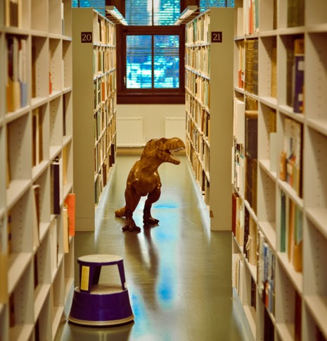 Amanda Toomey Photo 6
