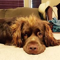 Jeannie Heffernan Photo 5