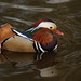Martin Drake Photo 6