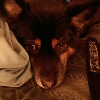 Michele Keating Photo 5