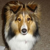 Connie Butts Photo 31