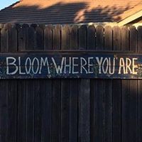 Jenny Ferris Photo 23