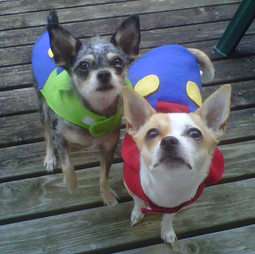 Jackie Lange Photo 21