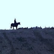 Nancy Malcolm Photo 15