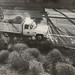 Roger Olsen Photo 40