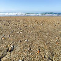 Angela Cheek Photo 9