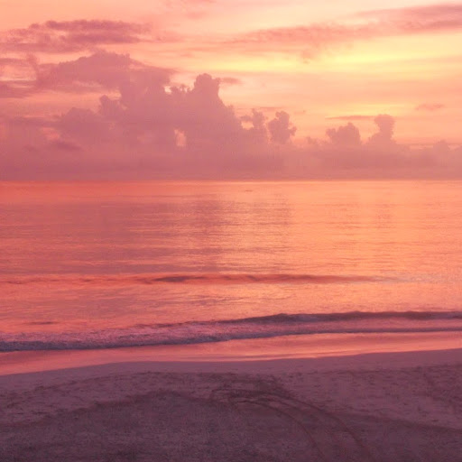 Alexander Carey Photo 21