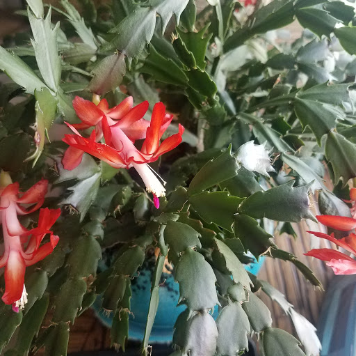 Kristina Chaney Photo 7